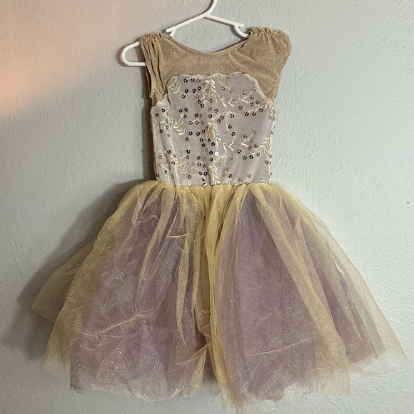 Weissman Other - Purple & Gold Dancewear, Full tutu Dress, Sequin Top, Size SC, 6/6X